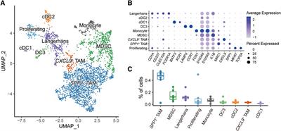 Single-cell transcriptome analysis reveals the clinical implications of myeloid-derived suppressor cells in head and neck squamous cell carcinoma